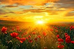 Bright new day for sale  Delivered anywhere in USA 