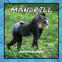 Mandrill wildlife books for sale  Delivered anywhere in UK