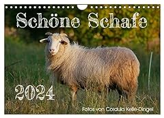 Schöne schafe calvendo gebraucht kaufen  Wird an jeden Ort in Deutschland