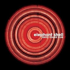 Elephant shell for sale  Delivered anywhere in USA 