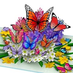 Hartensteler butterflies natur for sale  Delivered anywhere in USA 