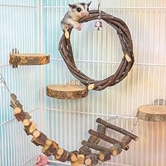 5pcs sugar glider for sale  Delivered anywhere in USA 