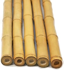 Flickbuyz bamboo canes for sale  Delivered anywhere in UK