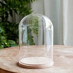 Regular glass bell for sale  Delivered anywhere in UK