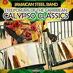 Steel drums caribbean for sale  Delivered anywhere in USA 