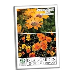 African daisy flake for sale  Delivered anywhere in USA 