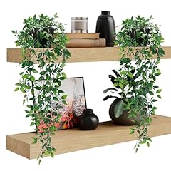 bain vert plante d'occasion bain vert plante d'occasion Livré partout en France