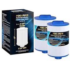 Poolpure replacement filter for sale  Delivered anywhere in USA 