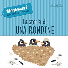 Storia una rondine. usato  Spedito ovunque in Italia 
