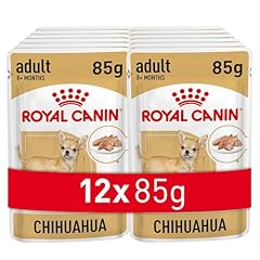 Royal canin chihuahua d'occasion  Livré partout en Belgiqu
