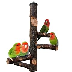 Qeeheng pappagallo legno usato  Spedito ovunque in Italia 