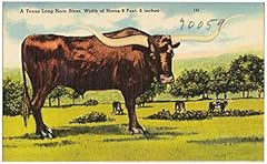 Home comforts texas for sale  Delivered anywhere in USA 