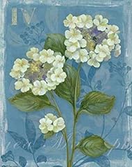 Posterazzi lace hydrangea for sale  Delivered anywhere in USA 