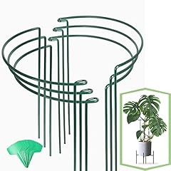 Joyhalo pack plant for sale  Delivered anywhere in USA 
