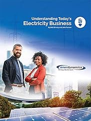 Understanding today electricit for sale  Delivered anywhere in USA 