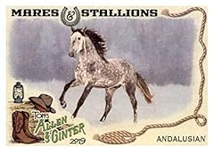 2019 allen ginter for sale  Delivered anywhere in USA 
