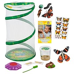 Butterfly mini garden for sale  Delivered anywhere in USA 