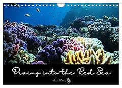 Diving into the gebraucht kaufen  Wird an jeden Ort in Deutschland