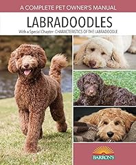 Labradoodles guide choosing for sale  Delivered anywhere in USA 