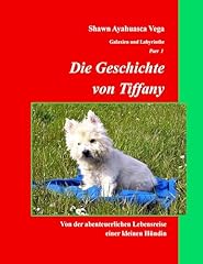 Geschichte tiffany abenteuerli gebraucht kaufen  Wird an jeden Ort in Deutschland