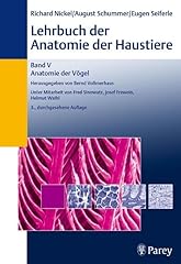 Lehrbuch anatomie haustiere gebraucht kaufen  Wird an jeden Ort in Deutschland