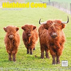 Dayplanner publishing highland for sale  Delivered anywhere in UK