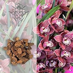 Kalapanta terreau orchidées d'occasion  Livré partout en Belgiqu