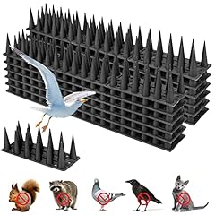 Pack upgraded bird for sale  Delivered anywhere in UK