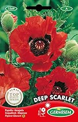Germisem deep scarlet usato  Spedito ovunque in Italia 