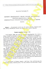 Reperti erpetologici nelle usato  Spedito ovunque in Italia 