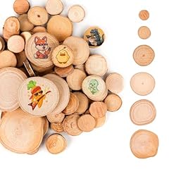Bigkego stück holzscheiben gebraucht kaufen  Wird an jeden Ort in Deutschland