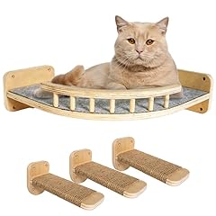Untitldw cat wall for sale  Delivered anywhere in USA 