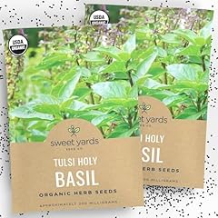 Organic holy basil for sale  Delivered anywhere in USA 