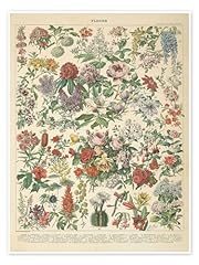 Tableau floral vintage d'occasion  Livré partout en France