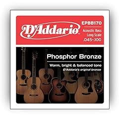 Addario acoustic bass for sale  Delivered anywhere in UK
