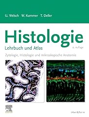 Histologie lehrbuch zytologie gebraucht kaufen  Wird an jeden Ort in Deutschland