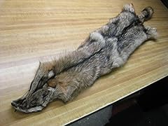 Tanned coyote hide for sale  Delivered anywhere in USA 