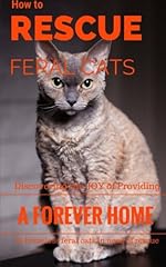 Rescue feral cats for sale  Delivered anywhere in USA 