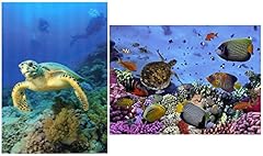 Different sea turtles for sale  Delivered anywhere in USA 