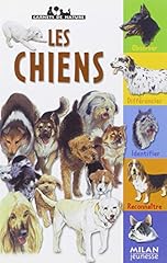 Chiens d'occasion  Livré partout en Belgiqu