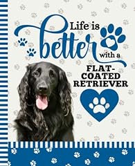 Life better flat for sale  Delivered anywhere in UK