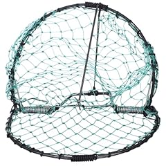 Yardwe pigeon bird for sale  Delivered anywhere in USA 