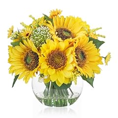 Well known sunflower for sale  Delivered anywhere in USA 
