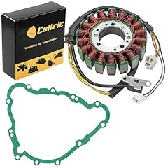 Caltric stator gasket for sale  Delivered anywhere in USA 