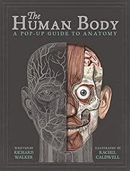 Human body pop for sale  Delivered anywhere in UK