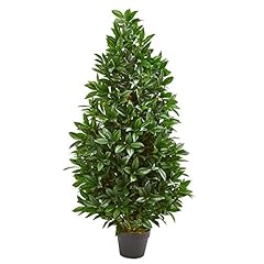 Bay leaf artificial for sale  Delivered anywhere in USA 