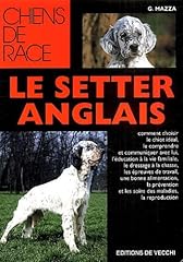 chiot setter anglais d'occasion chiot setter anglais d'occasion Livré partout en France