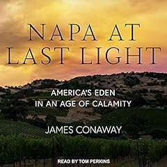 Napa last light for sale  Delivered anywhere in USA 