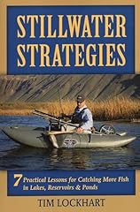 Stillwater strategies practica for sale  Delivered anywhere in USA 