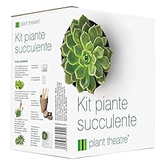 Kit succulent plant usato  Spedito ovunque in Italia 